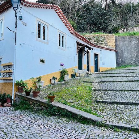 Pe Do Castelo Casinha - Pet Friendly & Garage Villa Tomar Dış mekan fotoğraf