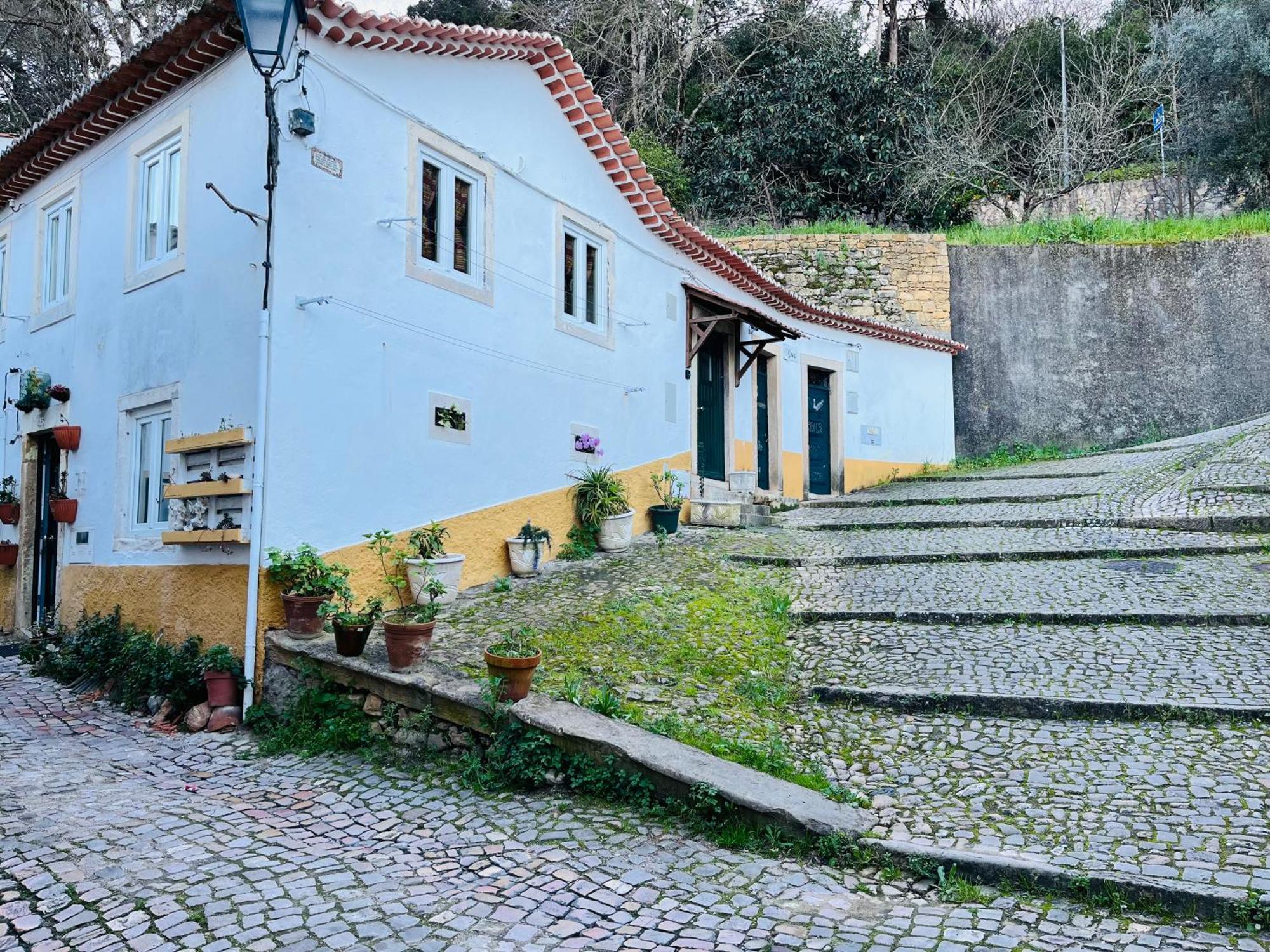 Pe Do Castelo Casinha - Pet Friendly & Garage Villa Tomar Dış mekan fotoğraf
